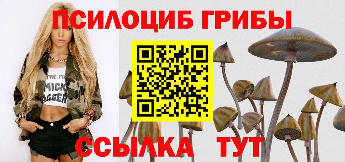 Псилоцибиновые грибы Cubensis Сарапул